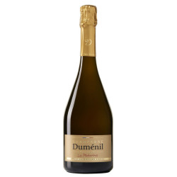 Champagne Dumenil Brut...